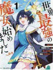 综艺栏目样板卡封面展示档期安排